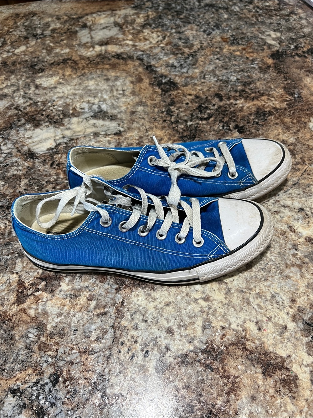 Converse Low-Top Canvas Sneakers in Blue and White